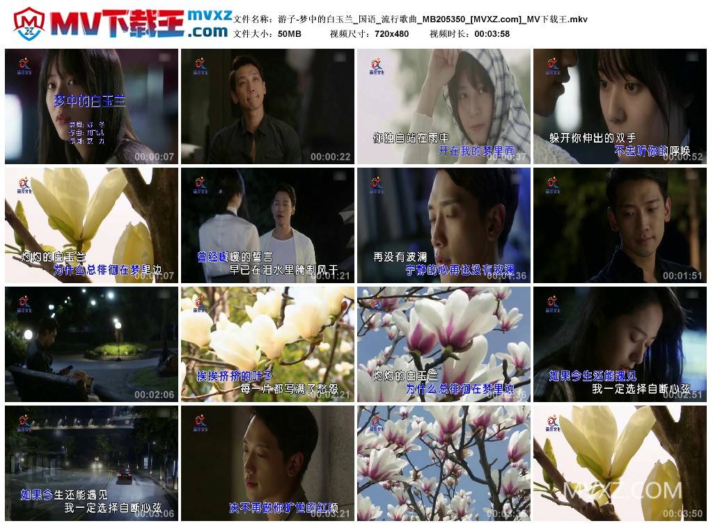 游子-梦中的白玉兰_国语_流行歌曲_MB205350
